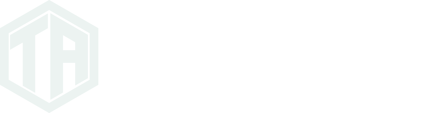 TA Consulting